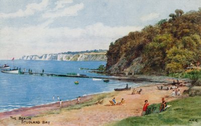 La playa, bahía de Studland de Alfred Robert Quinton