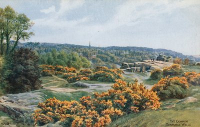 El Común, Tunbridge Wells de Alfred Robert Quinton