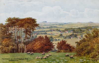 Las Downs con Chantonbury Ring, cerca de Worthing de Alfred Robert Quinton