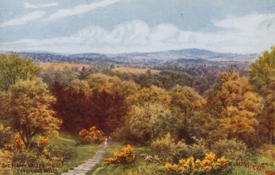El Valle Feliz, Tunbridge Wells de Alfred Robert Quinton