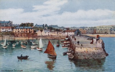 El puerto, Paignton de Alfred Robert Quinton
