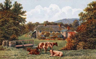 El viejo molino, Lyme Regis de Alfred Robert Quinton
