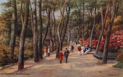 El Paseo de los Pinos, Bournemouth de Alfred Robert Quinton