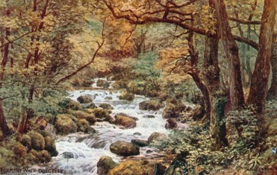 Caminata por el Torrente, Dolgelley de Alfred Robert Quinton