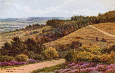 Vista desde Gibbet Cross, Hindhead de Alfred Robert Quinton