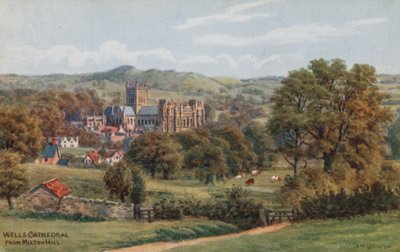 Catedral de Wells, desde Milton Hill de Alfred Robert Quinton