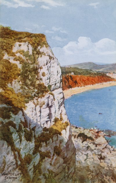 Acantilado blanco, Seaton de Alfred Robert Quinton