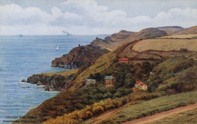 Woody Bay, desde Martinhoe Common de Alfred Robert Quinton