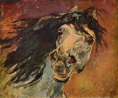 Cabeza de Caballo Andaluz, c1910 de Alfred Roll