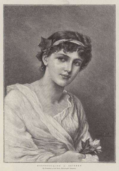 Hortensia de Alfred Seifert