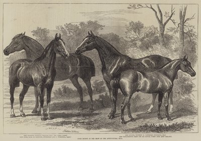 Caballos premiados en la exposición en el Salón Agrícola de Alfred Sheldon Williams