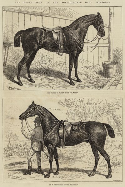 La exposición de caballos en el Agricultural Hall, Islington de Alfred Sheldon Williams