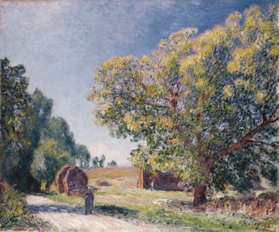 Un Claro en el Bosque, 1895 de Alfred Sisley