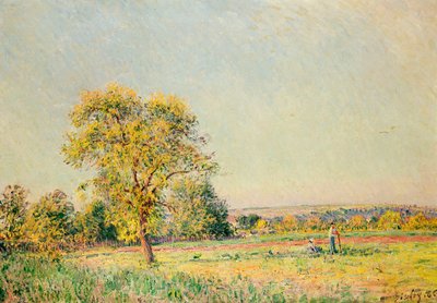 Un Día de Verano, 1886 de Alfred Sisley