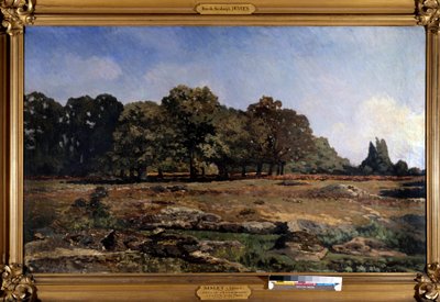 Alameda de castaños hacia la Celle Saint Cloud por Alfred Sisley (1839-1899) 1865 de Alfred Sisley