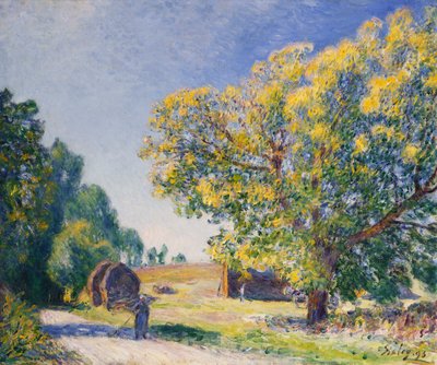 Alrededor del bosque, un claro de Alfred Sisley