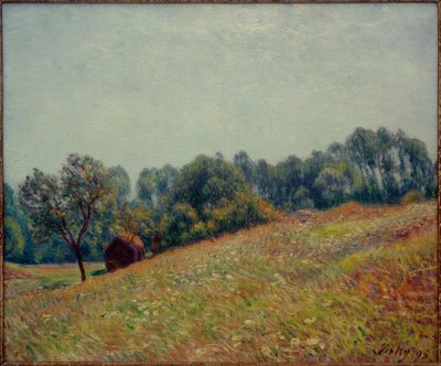 El valle de Alfred Sisley
