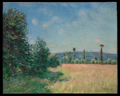 Los prados de Sahurs al sol de la mañana de Alfred Sisley