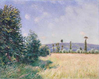 Prados de Sahurs en el Sol de la Mañana, 1894 de Alfred Sisley