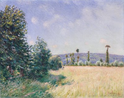 Praderas de Sahurs al sol de la mañana, 1894 de Alfred Sisley