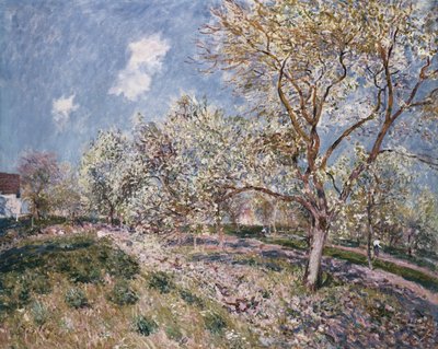Primavera en Veneux, 1880 de Alfred Sisley