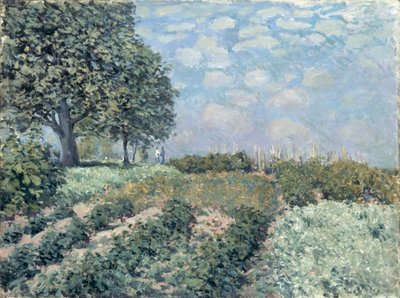 Los huertos del mercado de Alfred Sisley