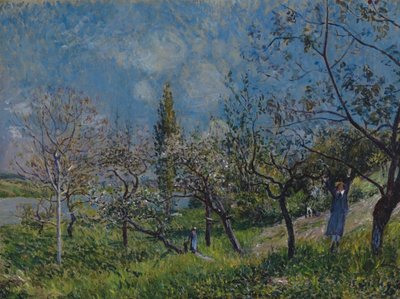 Huerto en primavera de Alfred Sisley