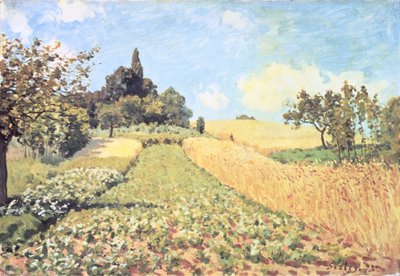 Campo de trigo (óleo sobre lienzo) de Alfred Sisley