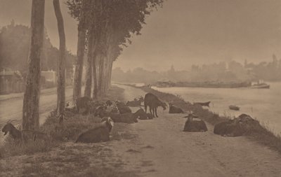  de Alfred Stieglitz