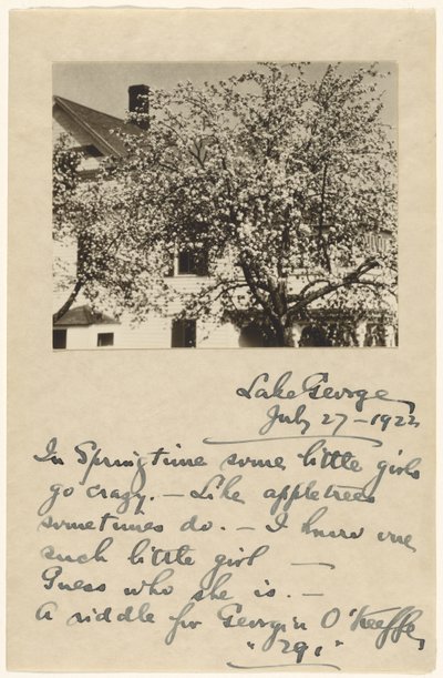 [Flores de manzano] de Alfred Stieglitz