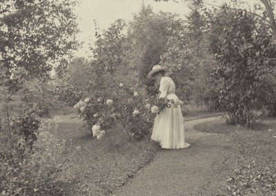  de Alfred Stieglitz