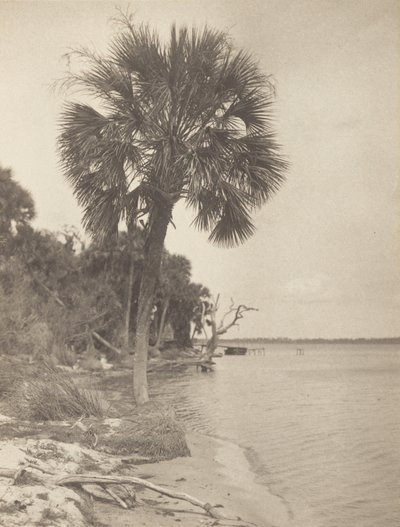  de Alfred Stieglitz