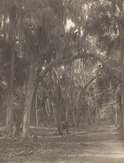  de Alfred Stieglitz