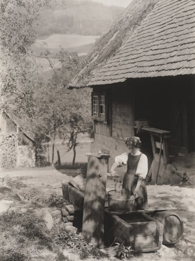 En la bomba, Selva Negra de Alfred Stieglitz