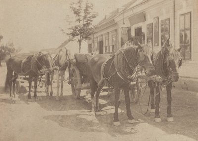  de Alfred Stieglitz