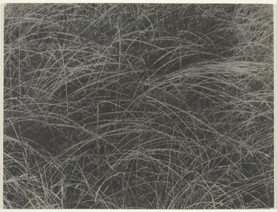 Equivalente, 1927 de Alfred Stieglitz