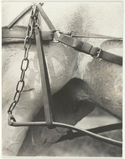 Equivalente, América Espiritual, 1923 de Alfred Stieglitz