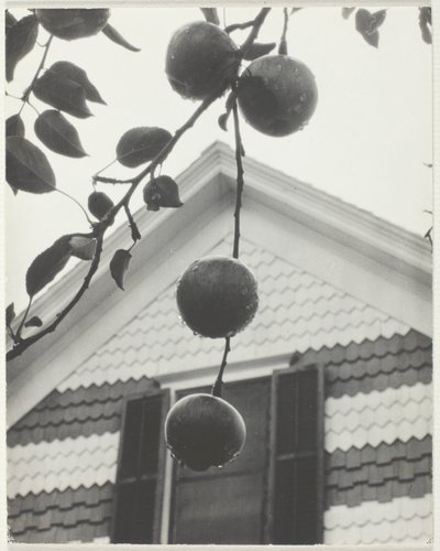 Gable y manzanas de Alfred Stieglitz