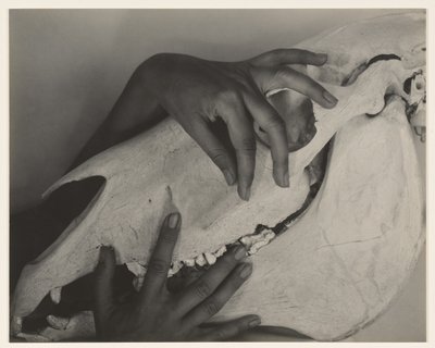  de Alfred Stieglitz
