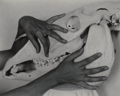  de Alfred Stieglitz