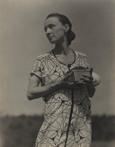  de Alfred Stieglitz