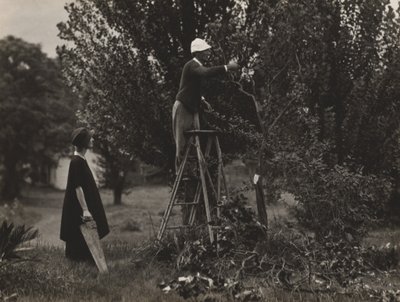  de Alfred Stieglitz