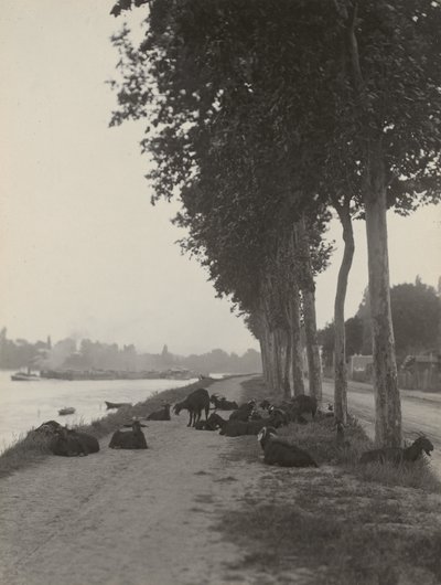  de Alfred Stieglitz