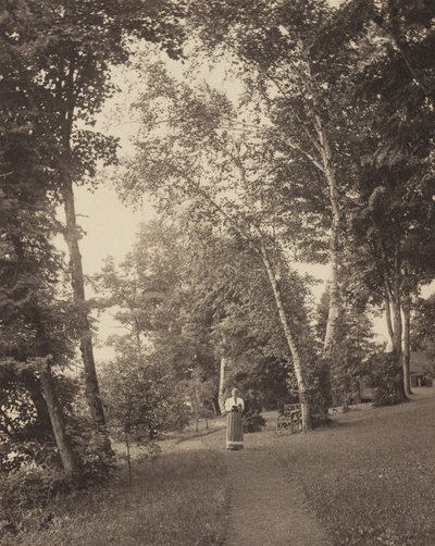 de Alfred Stieglitz
