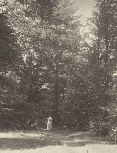  de Alfred Stieglitz