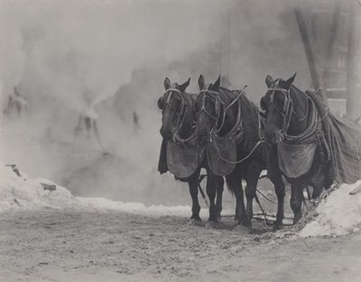  de Alfred Stieglitz