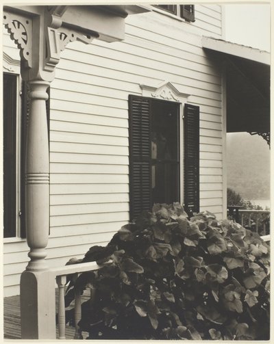 Casa y hojas de parra de Alfred Stieglitz