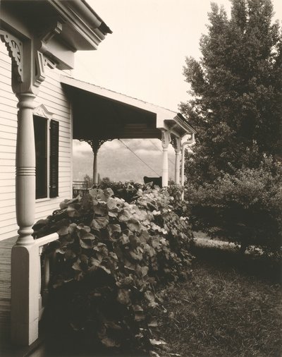 Casa y hojas de parra de Alfred Stieglitz