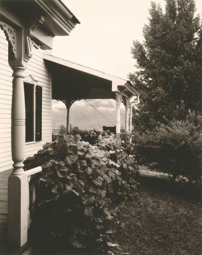 Casa y hojas de uva, 1934 de Alfred Stieglitz