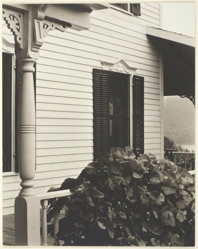 Casa y hojas de uva de Alfred Stieglitz
